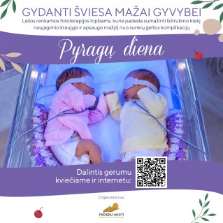 Kviečiame organizuoti Pyragų dieną