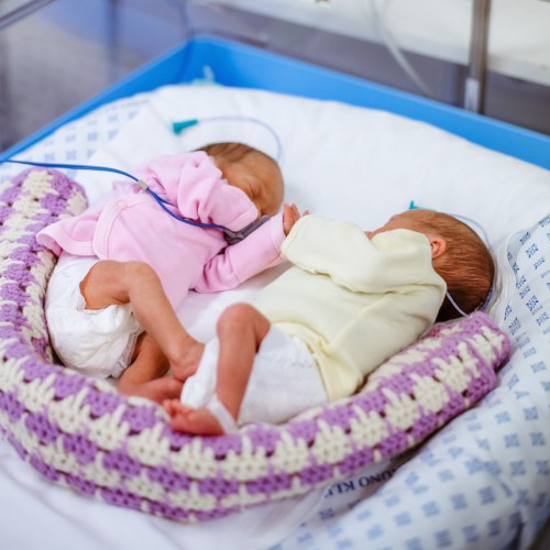 Parama Donorinio motinos pieno bankui