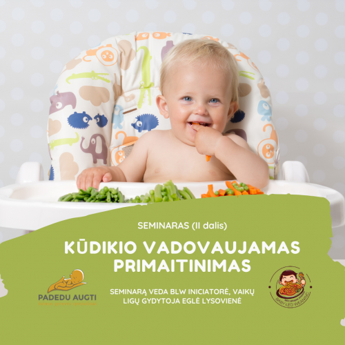 Seminaro įrašas  ,,Kūdikio vadovaujamas primaitinimas“ (II dalis)